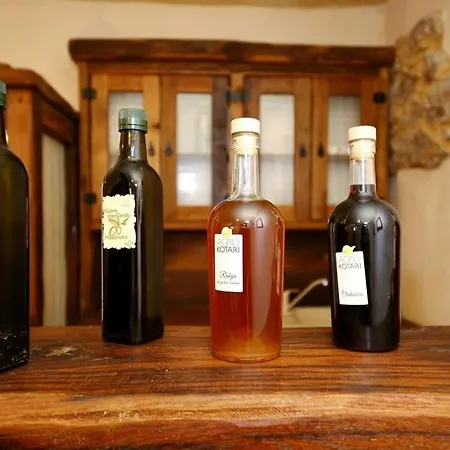 Seaside House - Diklo, - 14856 * زادار